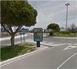 Mupis en el corredor de La Manga del Mar Menor, en la franja del término de San Javier